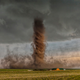 Image for article titled The Coolest Images From National Geographic's 2015 Photo Contest
